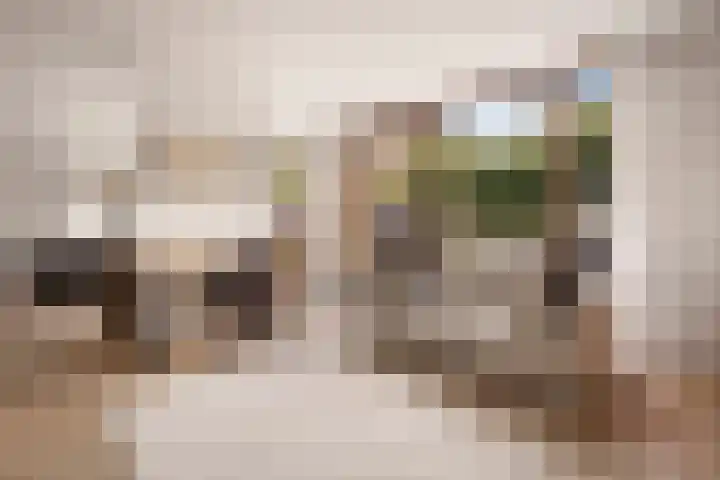 Lucebertlaan 4 Amstelveen thumbnail 30