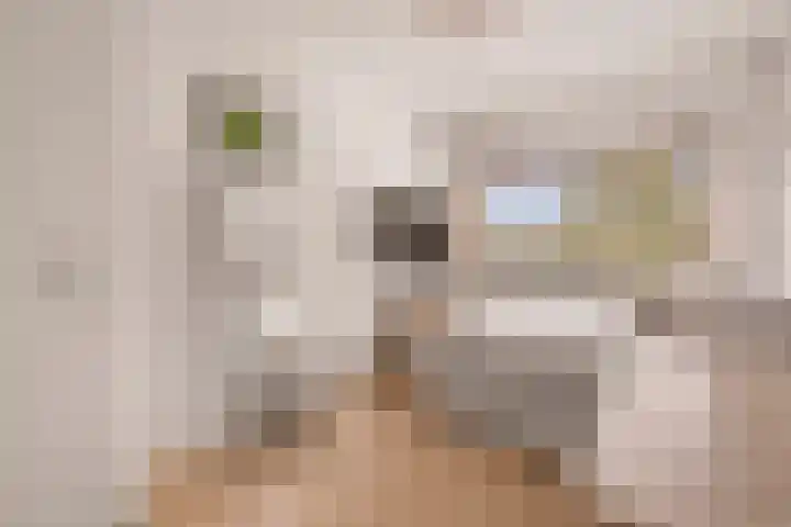 Lucebertlaan 4 Amstelveen thumbnail 39
