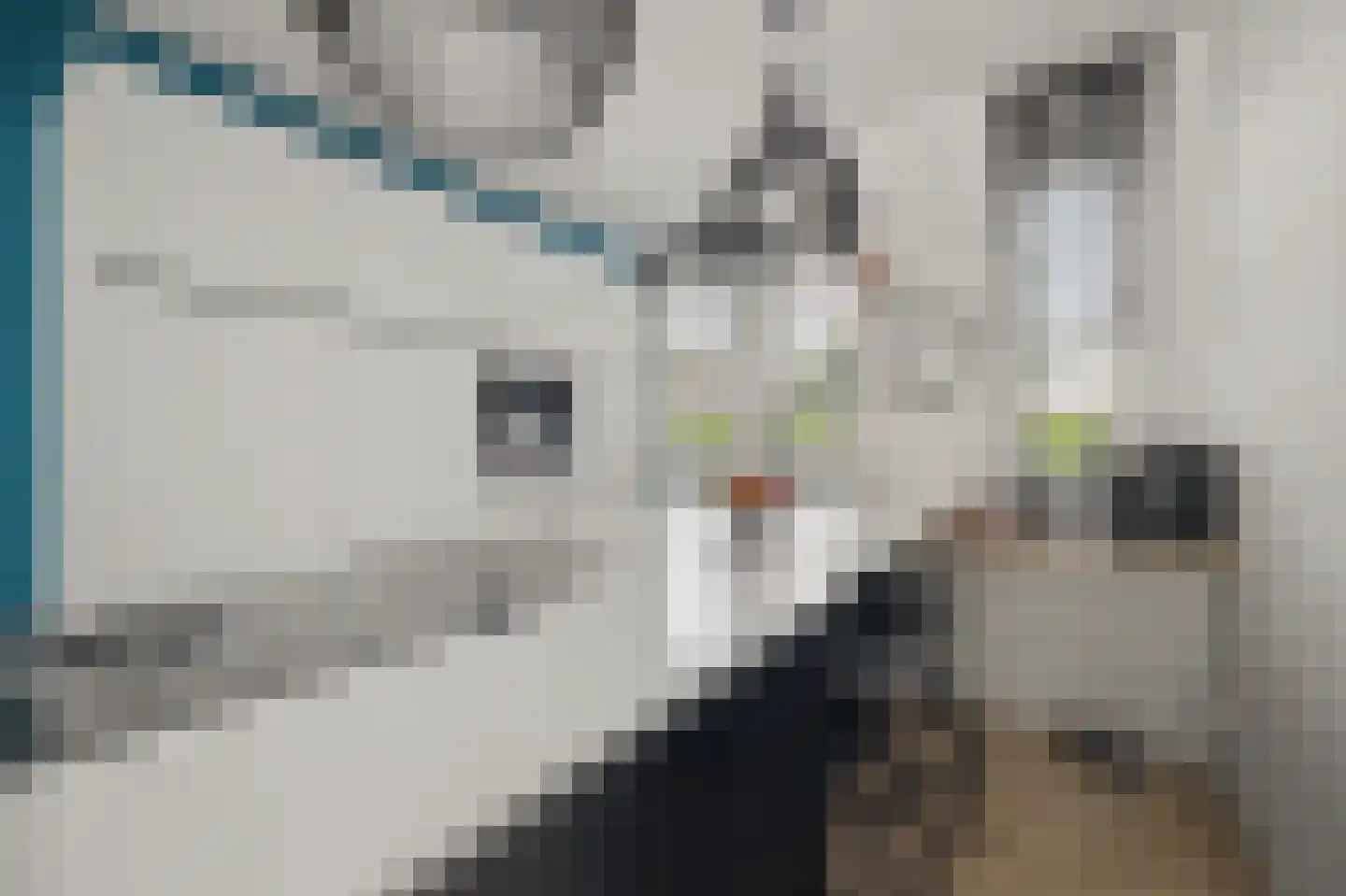 Lucebertstraat 4 Nijmegen thumbnail 24