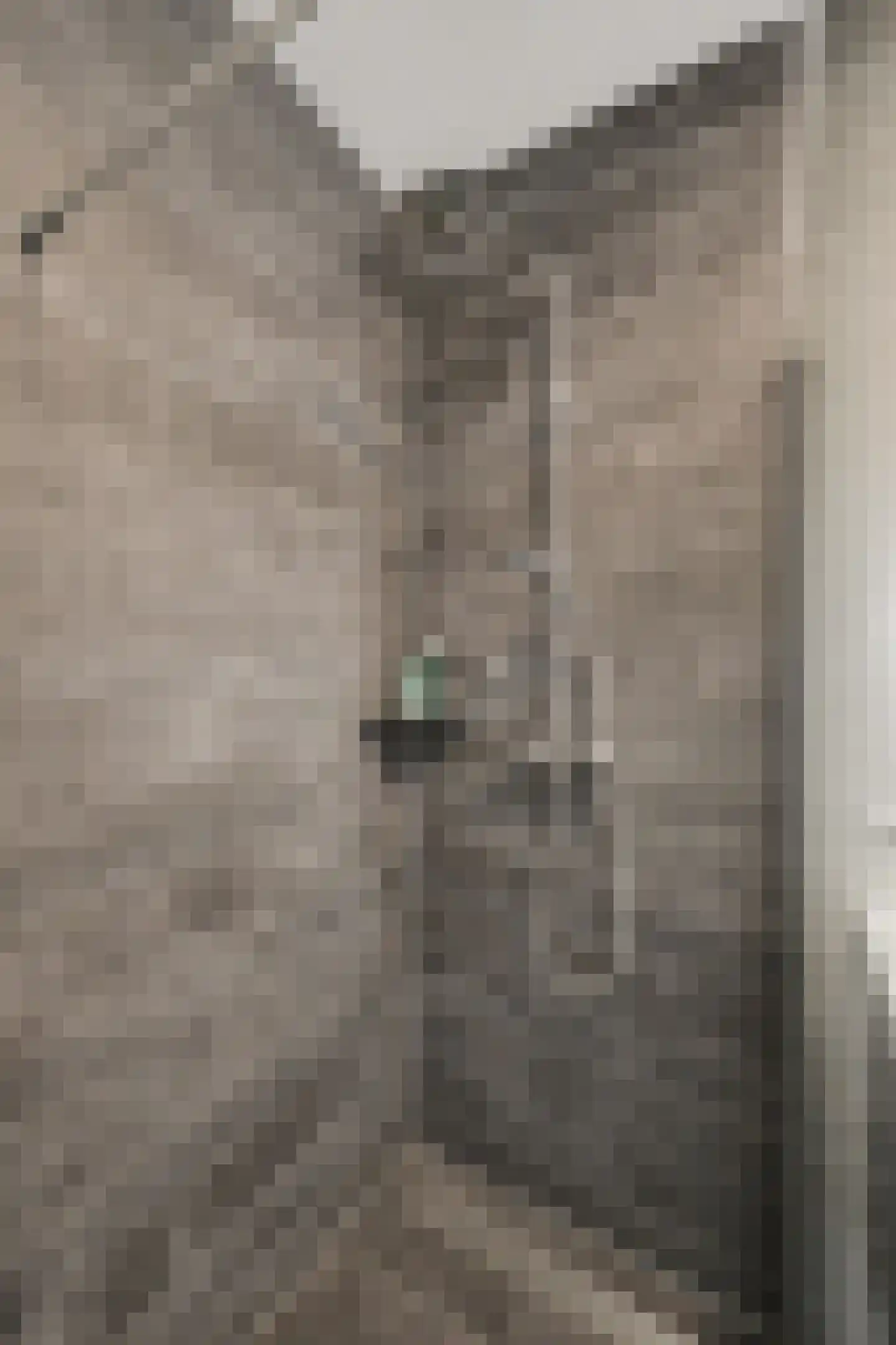 Lucebertstraat 4 Nijmegen thumbnail 37