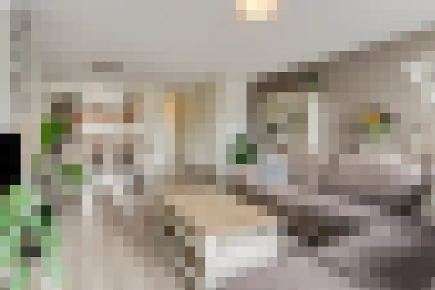 Lucebertstraat 7 Nijmegen thumbnail 10