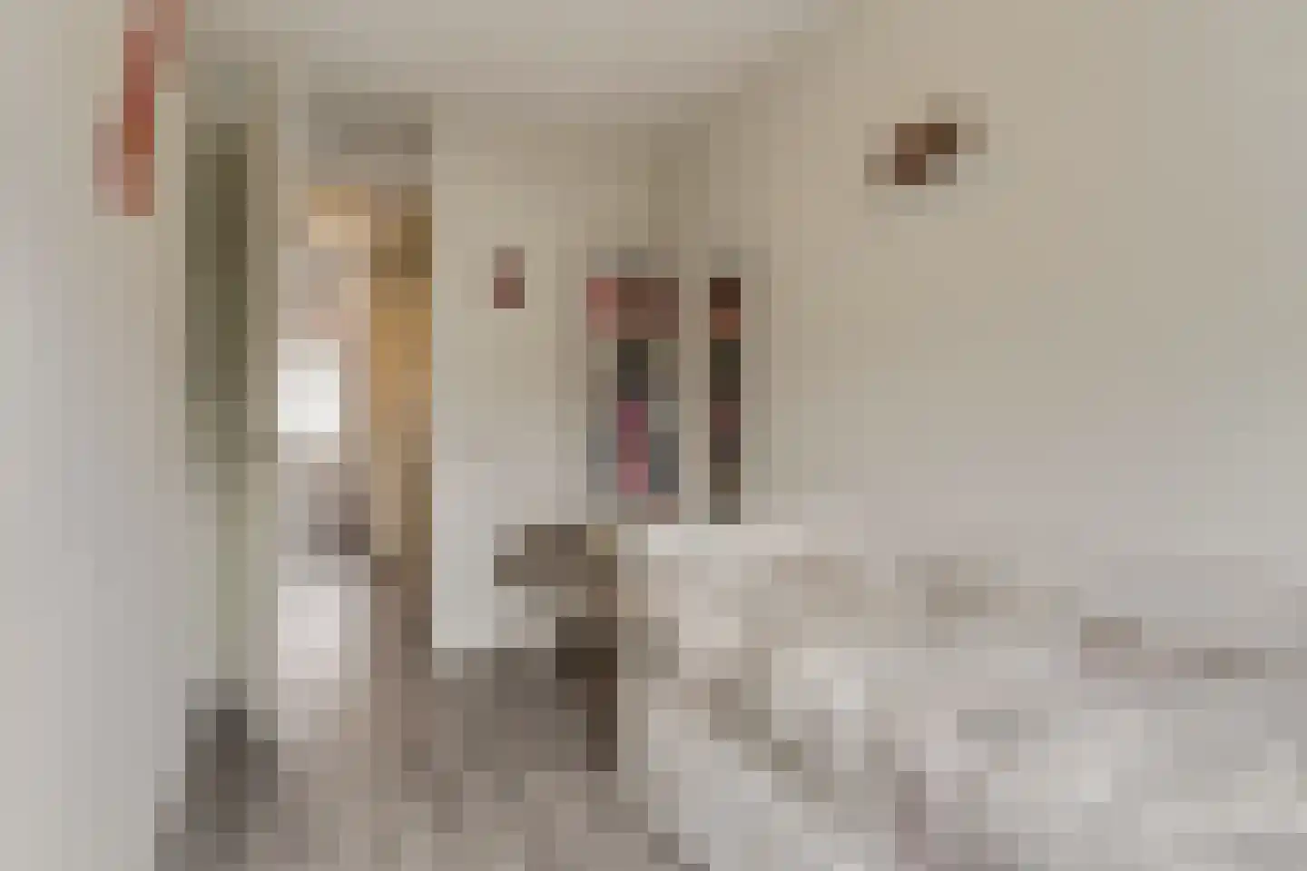 Lucebertstraat 7 Nijmegen thumbnail 26