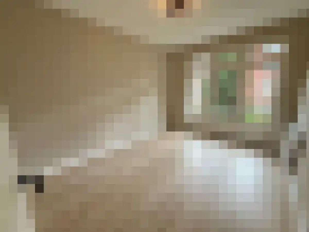 Lucellestraat 20 Amsterdam thumbnail 5