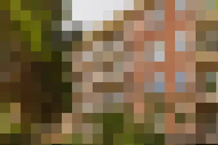 Lucellestraat 26 1 Amsterdam thumbnail 22