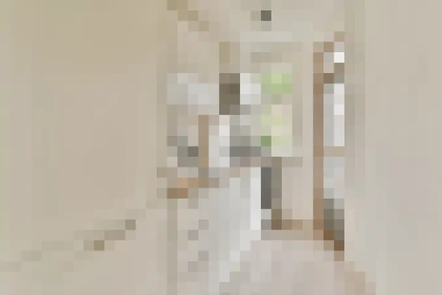 Lucellestraat 34 1 Amsterdam thumbnail 12