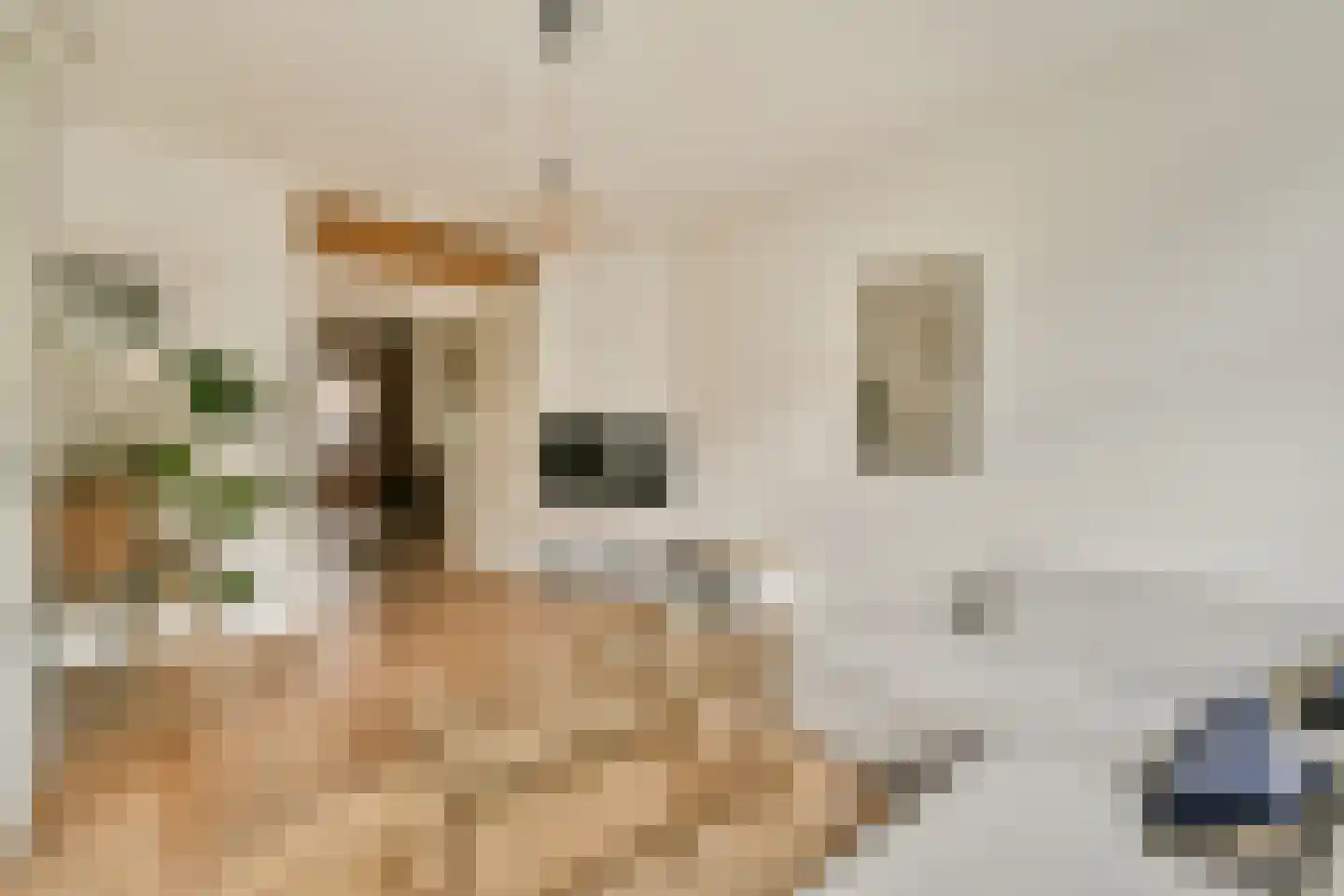 Lucellestraat 34 1 Amsterdam thumbnail 9
