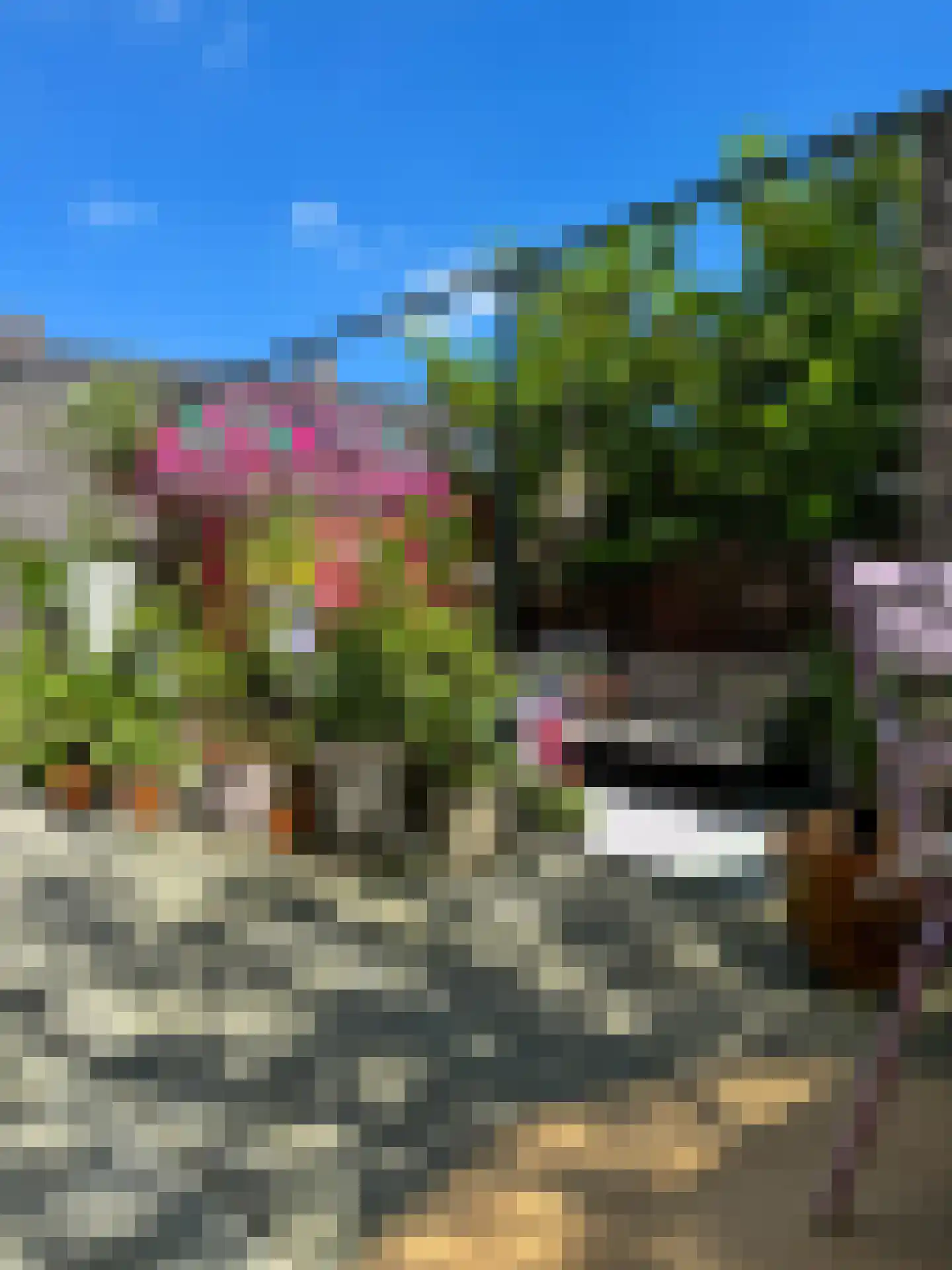 Lucellestraat 44 Amsterdam thumbnail 23