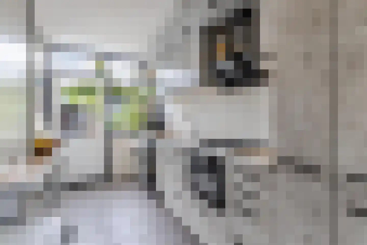 Lucernehof 13 Nagele thumbnail 25