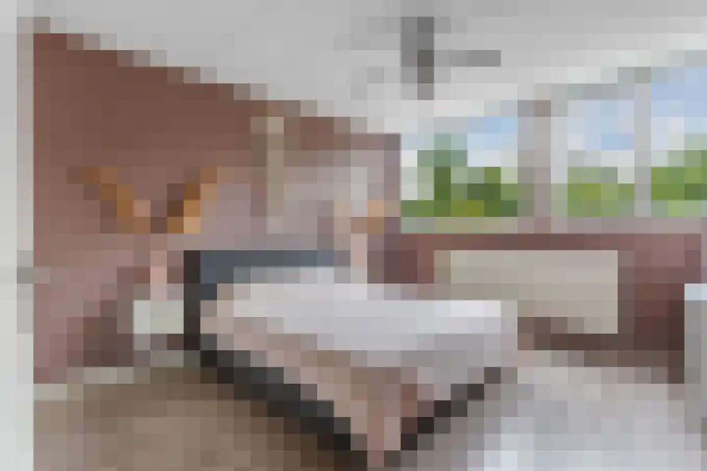 Lucernehof 13 Nagele thumbnail 30