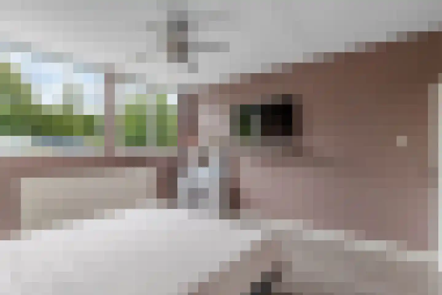 Lucernehof 13 Nagele thumbnail 31