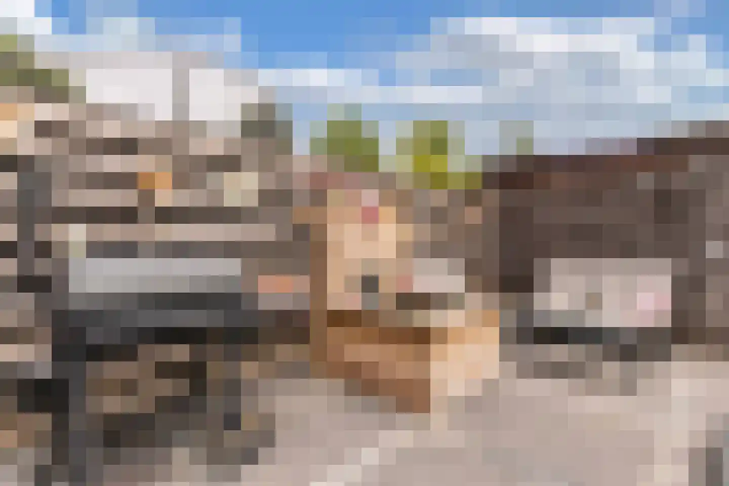 Lucernehof 13 Nagele thumbnail 41