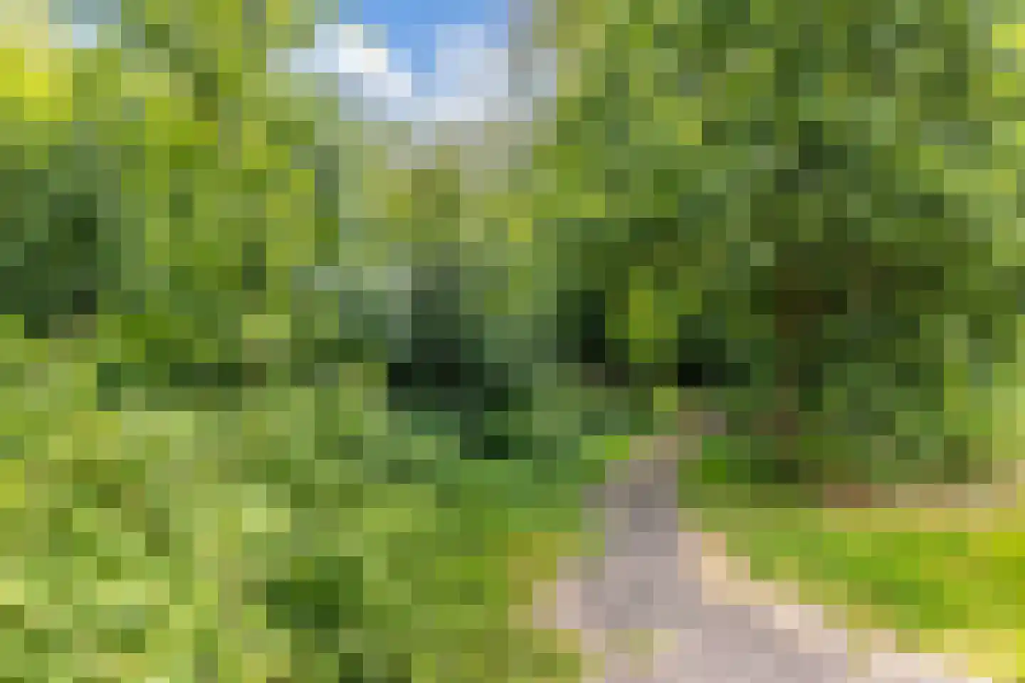 Lucernehof 13 Nagele thumbnail 50