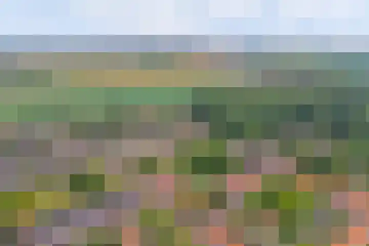 Lucernehof 184 Biddinghuizen thumbnail 28