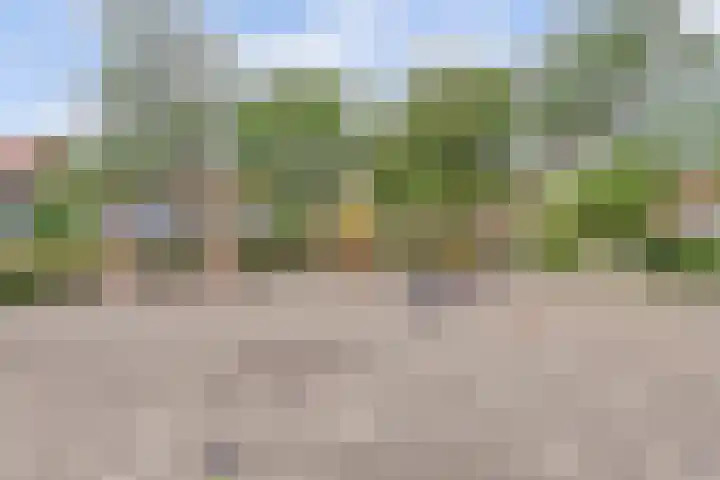 Lucernehof 184 Biddinghuizen thumbnail 36