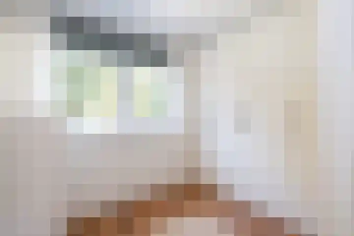 Lucernehof 3 Biddinghuizen thumbnail 23