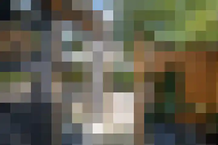 Lucernehof 3 Biddinghuizen thumbnail 32