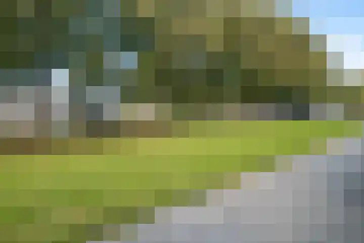 Lucernehof 3 Biddinghuizen thumbnail 34