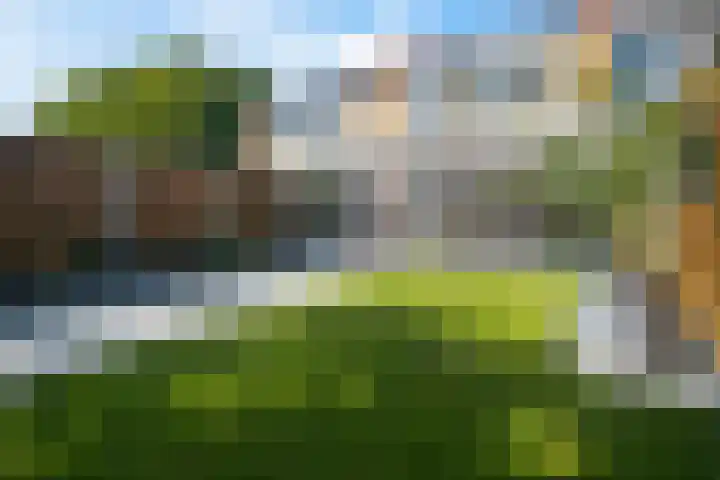 Lucernehof 3 Biddinghuizen thumbnail 5