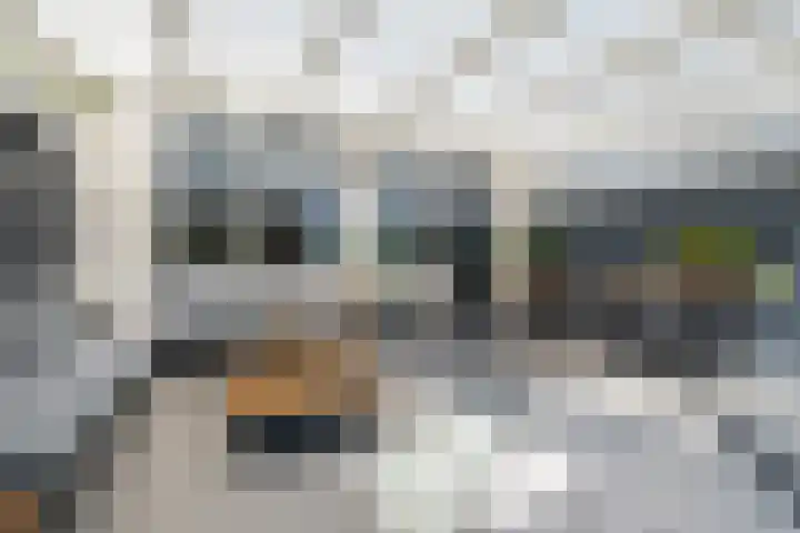 Lucernehof 3 Biddinghuizen thumbnail 6