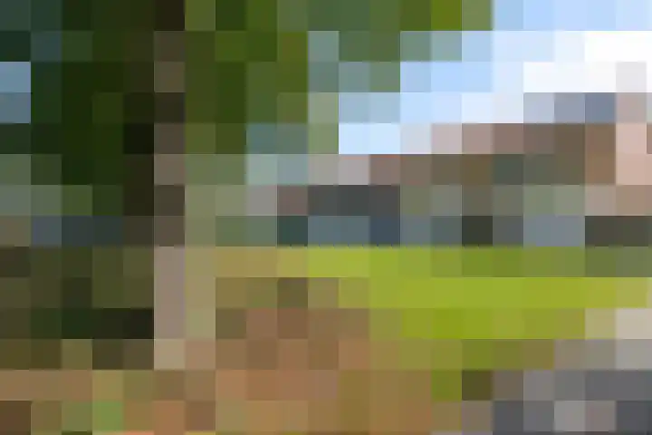 Lucernehof 3 Biddinghuizen thumbnail 7