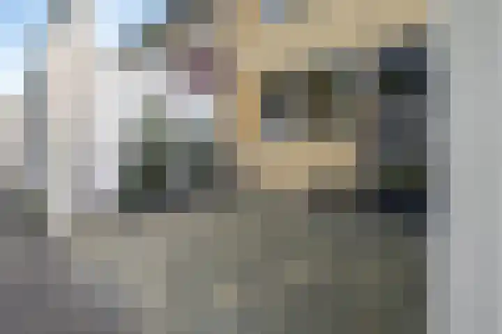 Lucernehof 3 Biddinghuizen thumbnail 8