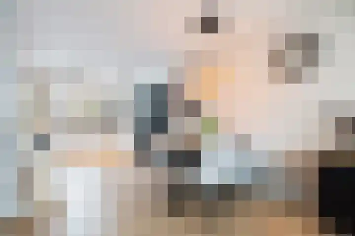 Lucernehof 45 Biddinghuizen thumbnail 15