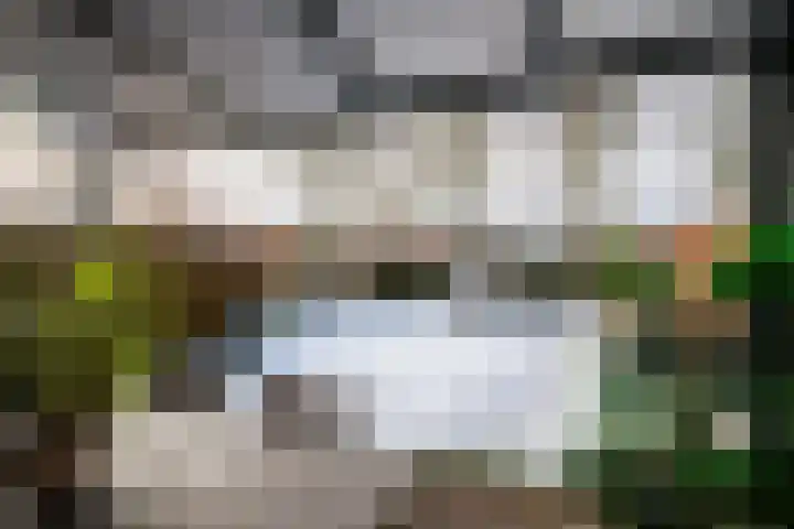 Lucernehof 45 Biddinghuizen thumbnail 31