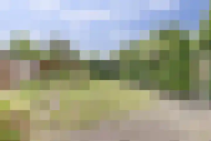 Lucernehof 88 Biddinghuizen thumbnail 33