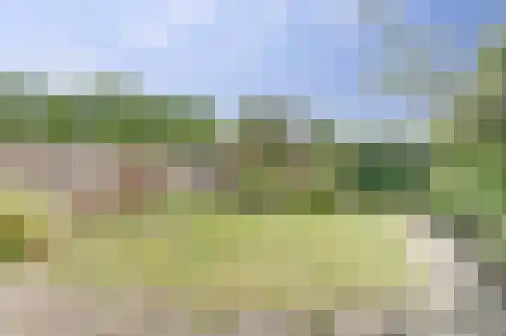Lucernehof 88 Biddinghuizen thumbnail 34