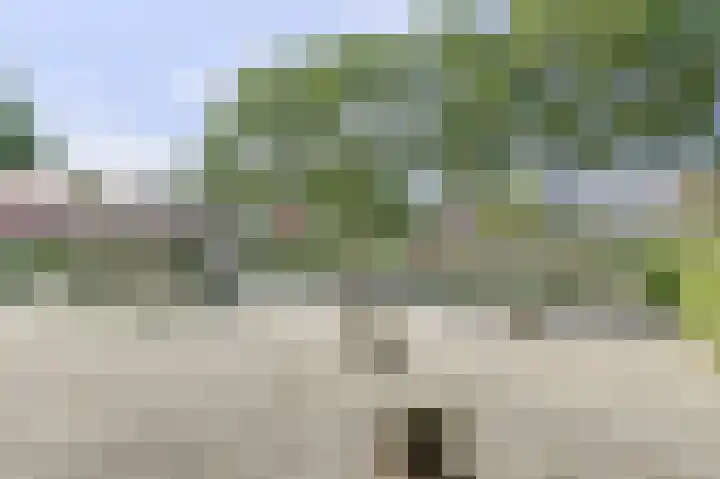 Lucernehof 88 Biddinghuizen thumbnail 38