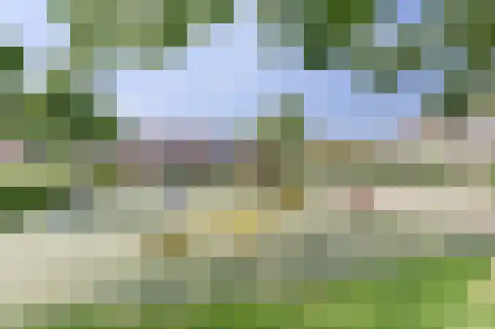 Lucernehof 88 Biddinghuizen thumbnail 39