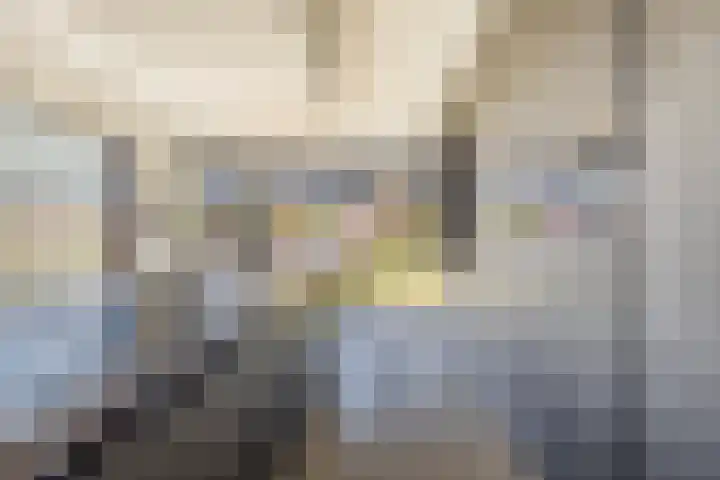 Luchen 21 A Mierlo thumbnail 10