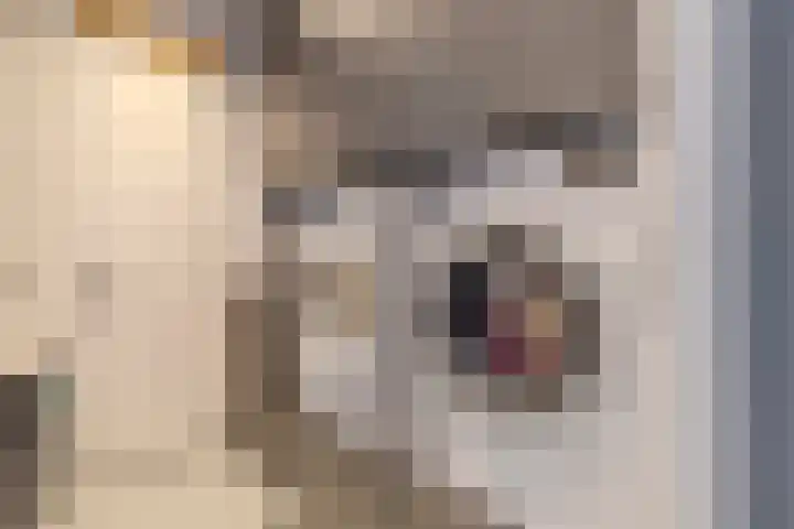 Luchen 21 A Mierlo thumbnail 24