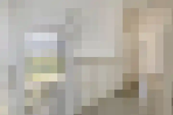 Luchen 21 A Mierlo thumbnail 25