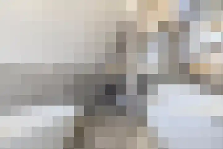 Luchen 21 A Mierlo thumbnail 29