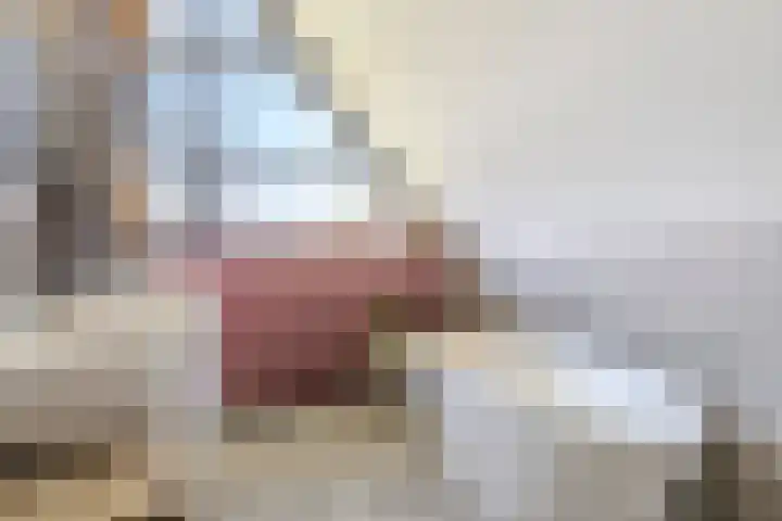 Luchen 21 A Mierlo thumbnail 30