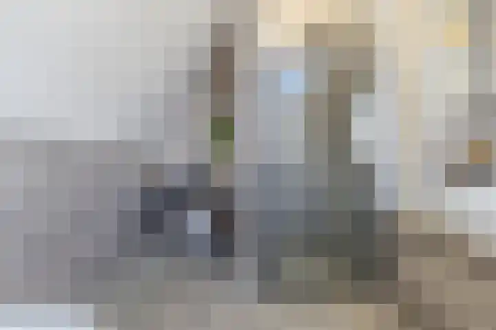 Luchen 21 A Mierlo thumbnail 31