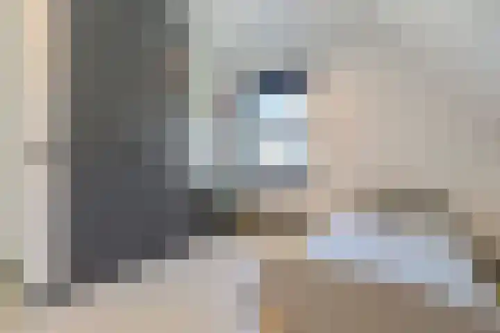Luchen 21 A Mierlo thumbnail 37