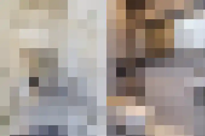 Luchen 21 A Mierlo thumbnail 4