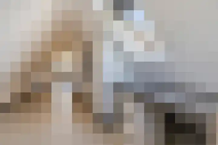 Luchen 21 A Mierlo thumbnail 42