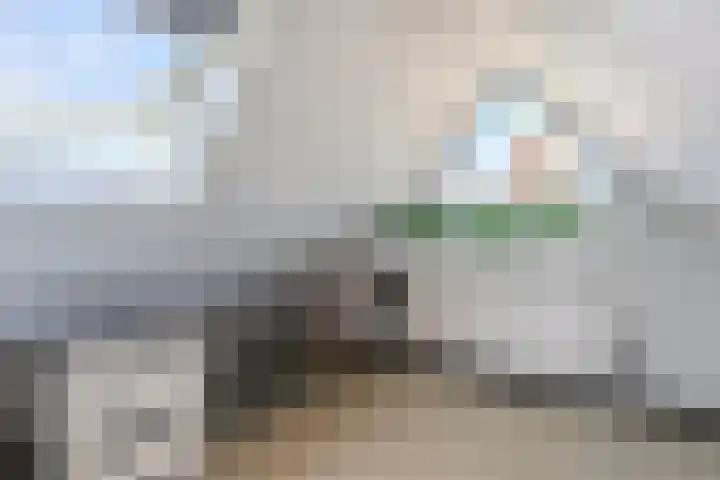Luchen 21 A Mierlo thumbnail 43