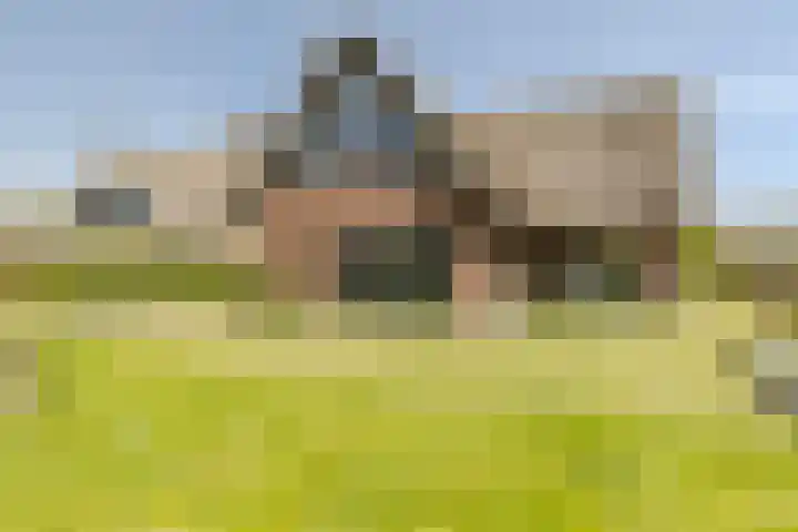 Luchen 21 A Mierlo thumbnail 45