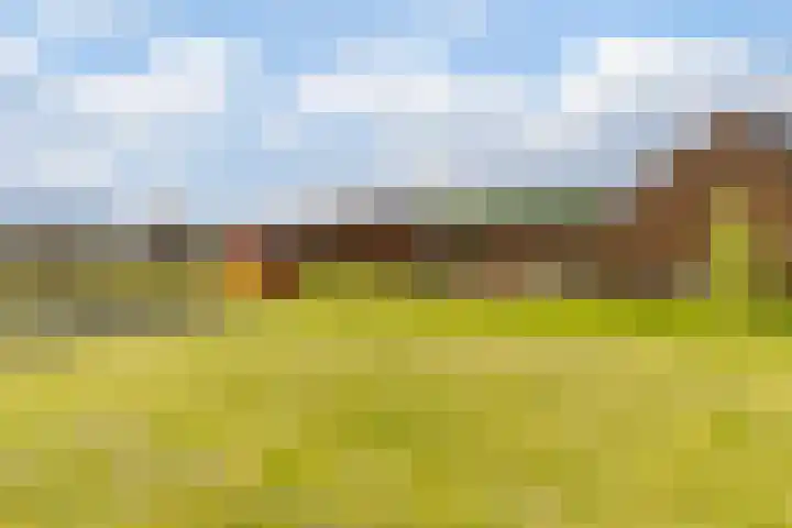 Luchen 21 A Mierlo thumbnail 46
