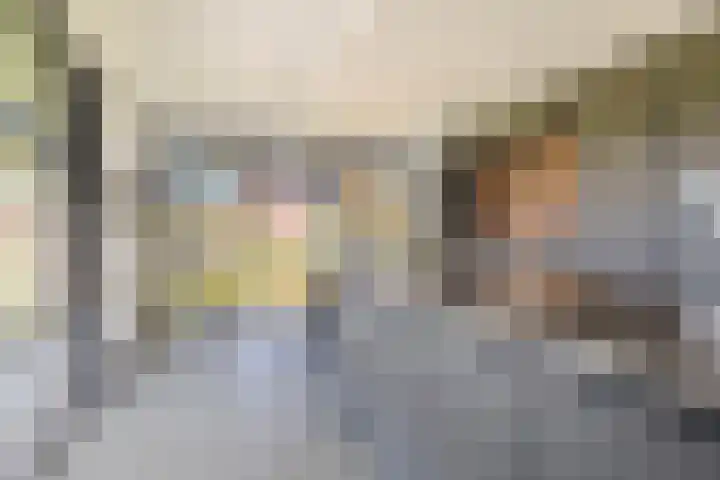 Luchen 21 A Mierlo thumbnail 9