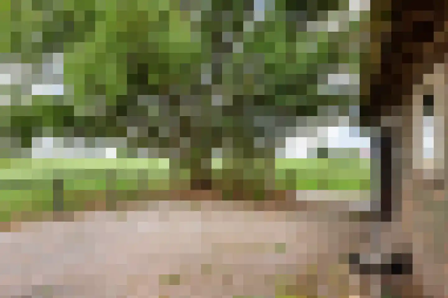 Lucht en Veldsterdyk 4 Jorwert thumbnail 23
