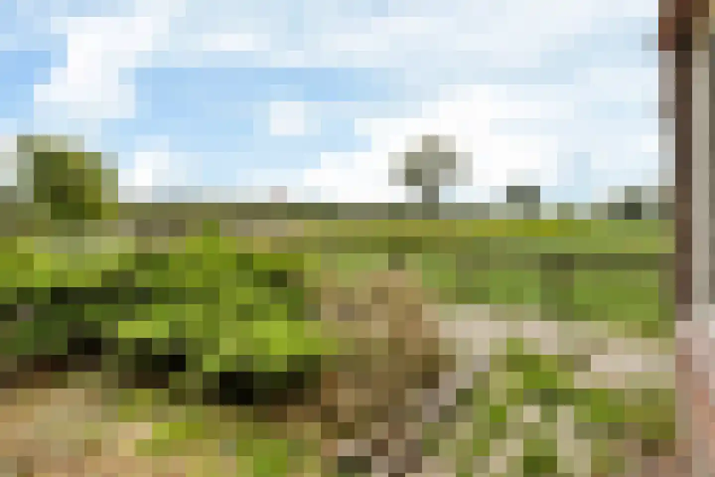Lucht en Veldsterdyk 4 Jorwert thumbnail 42