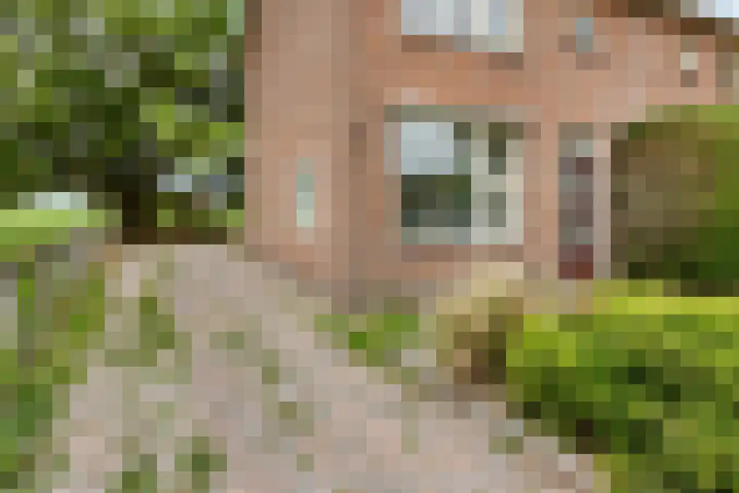 Lucht en Veldsterdyk 4 Jorwert thumbnail 44