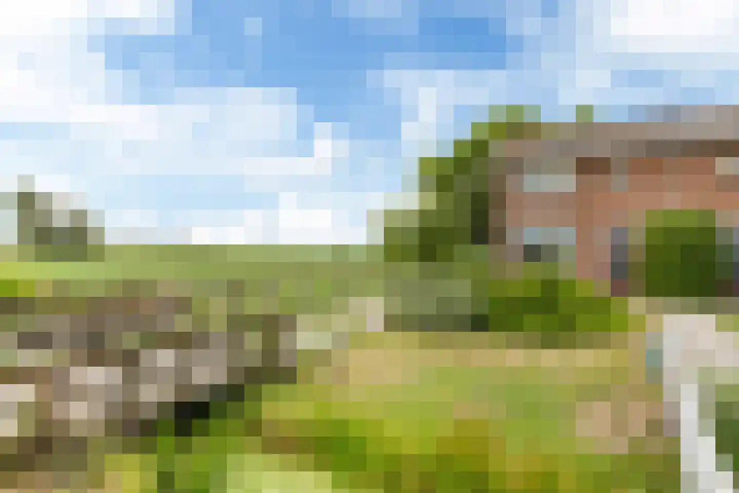 Lucht en Veldsterdyk 4 Jorwert thumbnail 45