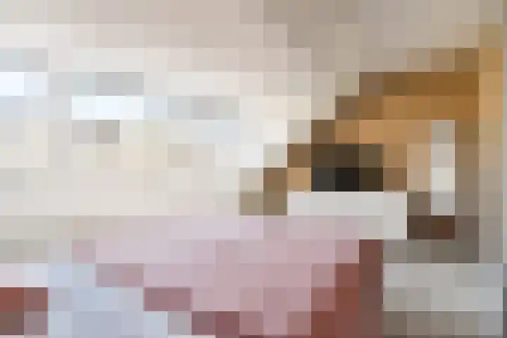 Luchtenborg 8 Hendrik-Ido-Ambacht thumbnail 10