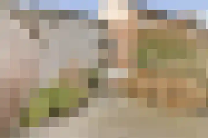 Luchtenborg 8 Hendrik-Ido-Ambacht thumbnail 19